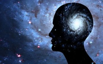两个意识两个维护心得体会7篇