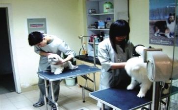 医院工作总结的范文推荐8篇