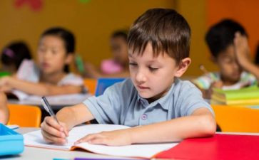 2024幼儿园个人年度总结参考7篇