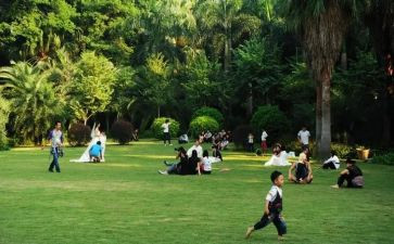 六一游园活动方案六一游园活动方案参考6篇