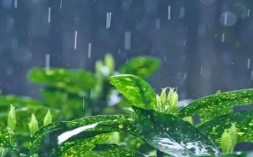 英雄雨来的事迹优秀7篇