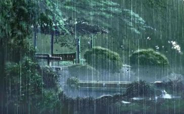 雨阅读心得体会精选7篇