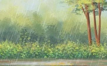 我发现雨中的作文6篇