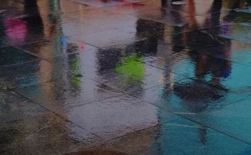 雨后的心得体会参考7篇