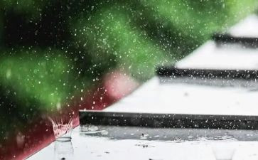 深圳的雨作文优秀5篇