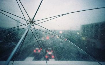 雨阅读心得体会通用7篇