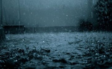 雨初中作文600字7篇
