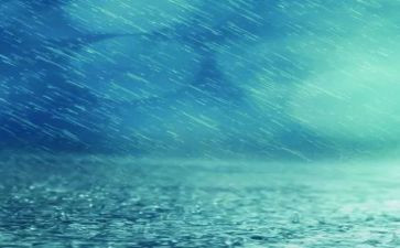 雨中的发现作文600字5篇