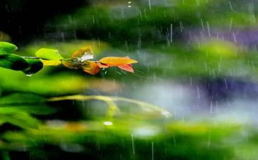 余秋雨文化苦旅读后感5篇