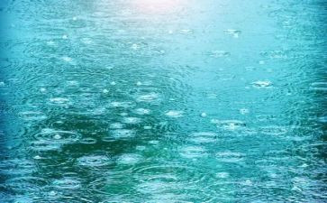 写谷雨的作文7篇