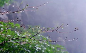 七彩雨教案精选6篇