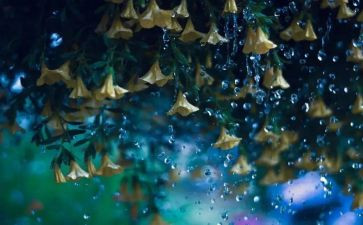 雨中的书读后感推荐7篇