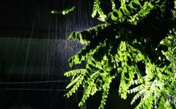 雨中的书读后感模板5篇