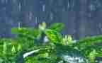 英雄雨来的事迹模板5篇