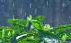 小班音乐课大雨小雨教案优秀8篇