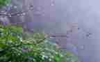 对雨课堂的心得体会参考7篇