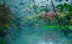 作文我是雨400字作文5篇