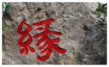 地心缘的读后感6篇