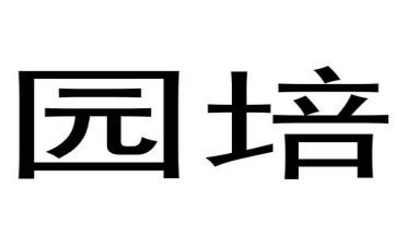 幼儿园培训教育教学心得8篇