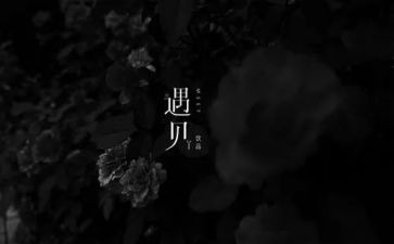 2024感恩遇见2024作文8篇