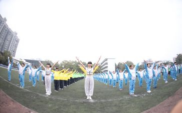 《东京奥运会》作文最新5篇