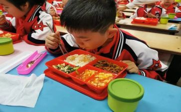 大学生在校的工作总结6篇