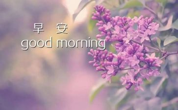 小班早餐教案8篇