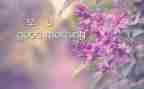 早教年工作总结优秀6篇