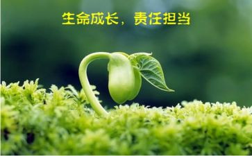 安全与责任演讲稿6篇