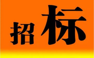 招标个人总结工作总结8篇