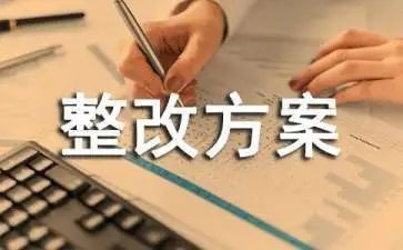 巡视整改报告6篇