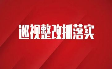 2024师德师风问题整改心得体会7篇