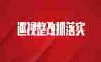 个人巡察整改对照材料通用8篇