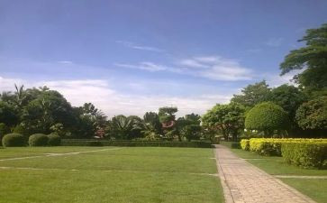 真实作文800字作文6篇