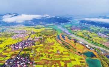 2024年度乡村振兴工作总结7篇