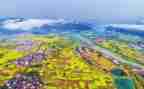 2024年度乡村振兴工作总结7篇