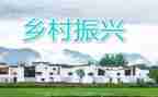 2024年乡村振兴总结报告5篇