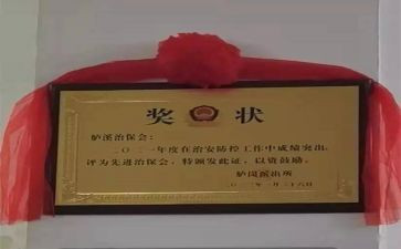 2024年村治保主任述职报告7篇