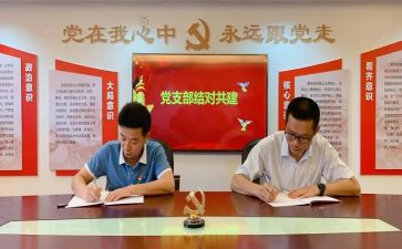 企业党支部年度工作计划7篇
