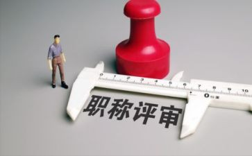 职称评定表工作总结优秀8篇