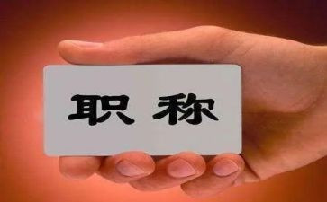 聘职称工作总结8篇