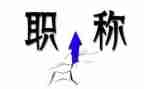 职称的个人总结5篇