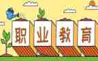 新入职教师的个人总结6篇