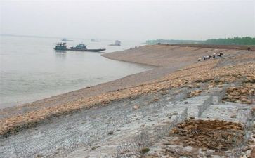 小学治理乱收费自查报告7篇