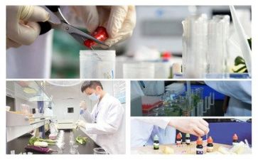 质量的年终工作总结最新6篇