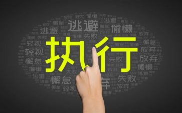 讲执行心得体会优质7篇