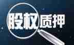 借款质押合同优秀8篇