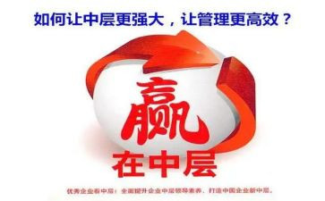 2024年中层述职报告模板6篇