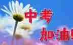 学生中考演讲稿参考8篇