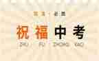 中考的我作文600字精选7篇